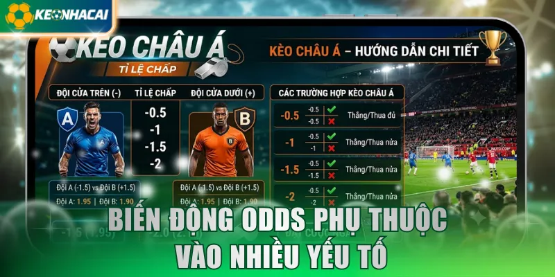 Biến động odds phụ thuộc vào nhiều yếu tố