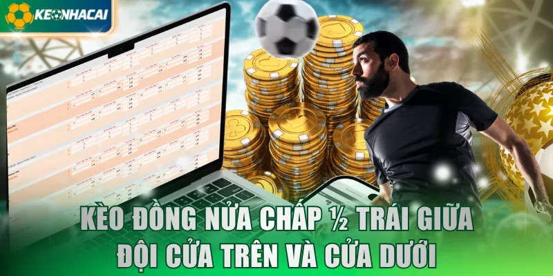 Kèo đồng nửa chấp ¼ trái giữa đội cửa trên và cửa dưới