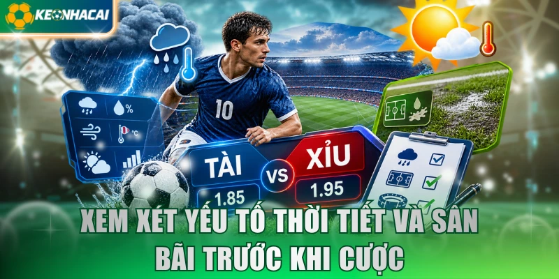 Xem xét yếu tố thời tiết và sân bãi trước khi cược